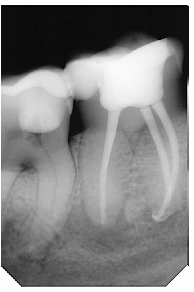 фото3.jpeg фото3.jpeg