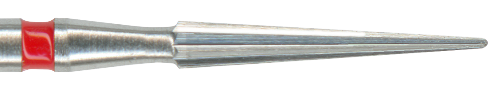 konicheskijbor.png konicheskijbor.png