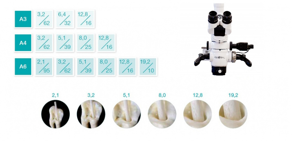 microskop6.jpg microskop6.jpg