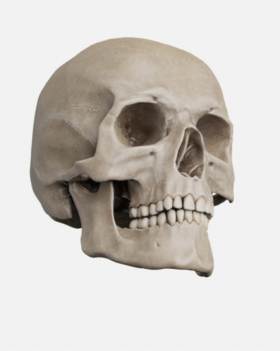 FOV LX Website (1).gif FOV LX Website (1).gif