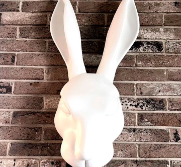 Стоматологическая клиника «Белый кролик»